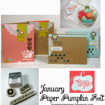 January Paper Pumpkin Kit + A Big Bonus!