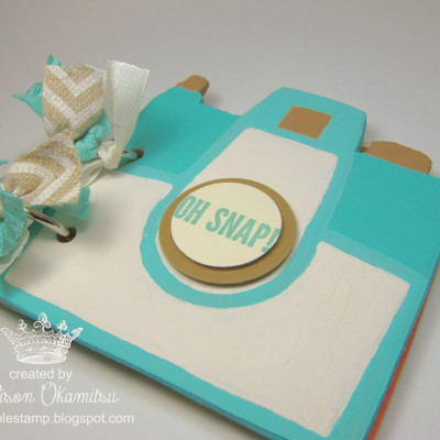 Retro Fresh Mini Camera Scrapbook