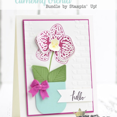 Climbing Orchid Hello Card