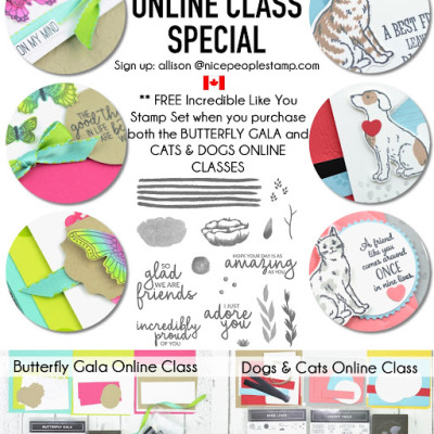 DOUBLE ONLINE CLASS SPECIAL: Butterfly Gala & Dogs and Cats