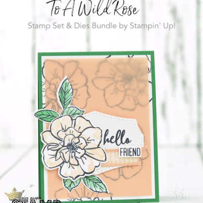 To A Wild Rose Card w/ VIDEO