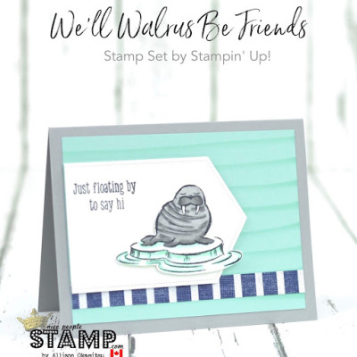 We’ll Walrus Be Friends Card w/ VIDEO