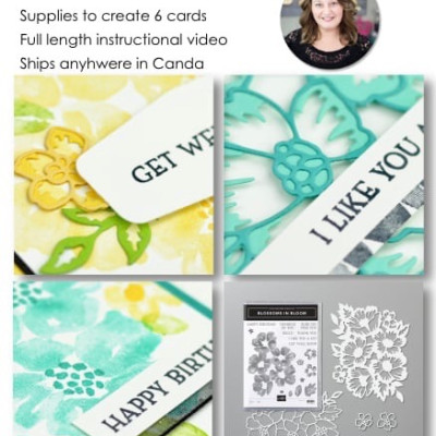 Blossoms in Bloom Online Class | Create cards with me from anywhere in Canada | Stampin’ Up!