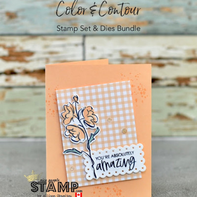 Simple Cardmaking Tutorial | Stampin’ Up! Color & Contour Bundle