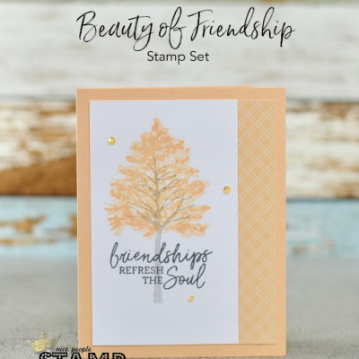 Stampin’ Up! Beauty of Friendship | 2021-2023 In Color Cards