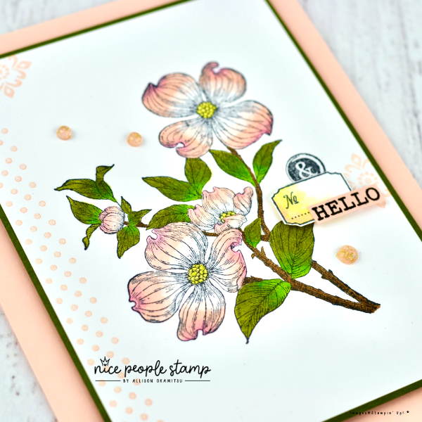 Close up image of a handmade card with a detailed dogwood stamp coloured in with pink, yellow, and green. The sentiment on the card reads "hello". 