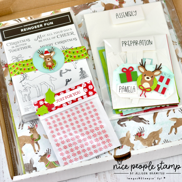 Swag 'bags' for the NicePeopleStamp retreat included the Reindeer Fun Bundle of stamps & dies, Peppermint Embellishments, Reindeer Days Designer Paper, and all the supplies for make n takes. 